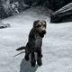 Illustration for article titled iSkyrim/i Player Says He Went Through Hell Just To Adopt A Virtual Dog